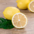 Neue Erntefrische Zitrone Früchte Großhandelspreis